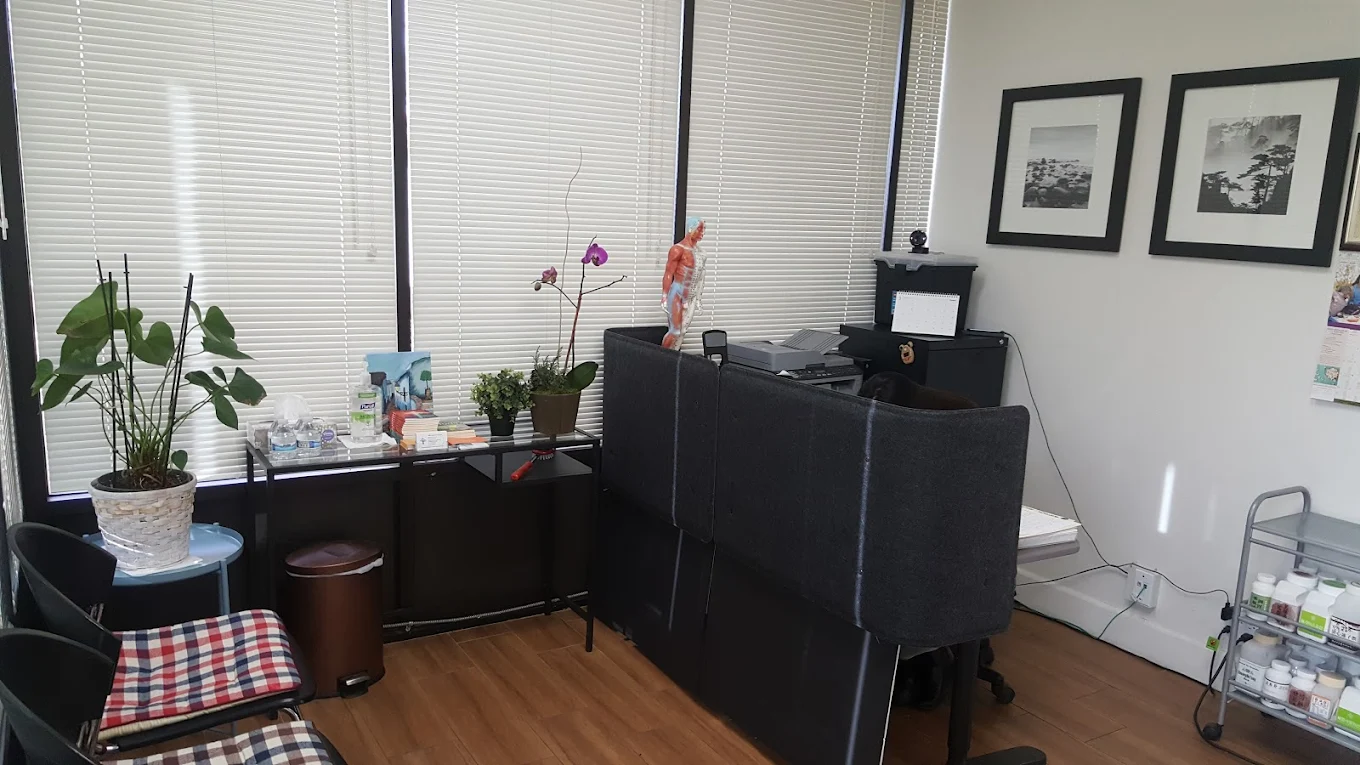NSB Acupuncture Clinic